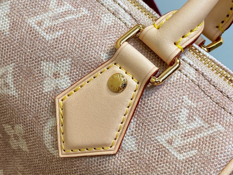 LV Speedy Bags
